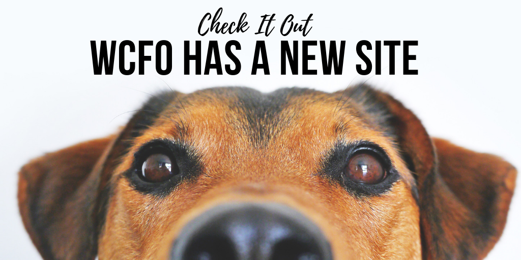 Check it out wcfo has a new site brown dog