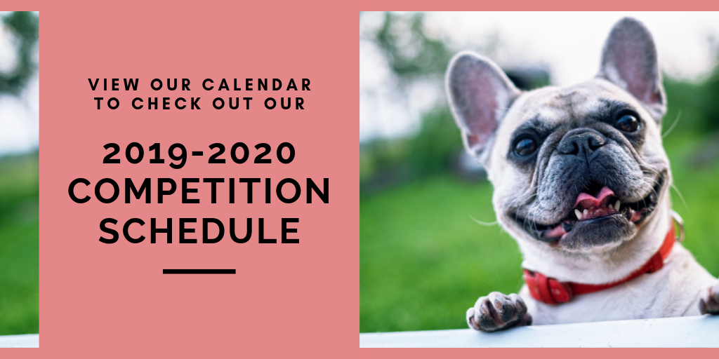 view our calendar to check out our 2019-2020 Competition Schedule french bulldog